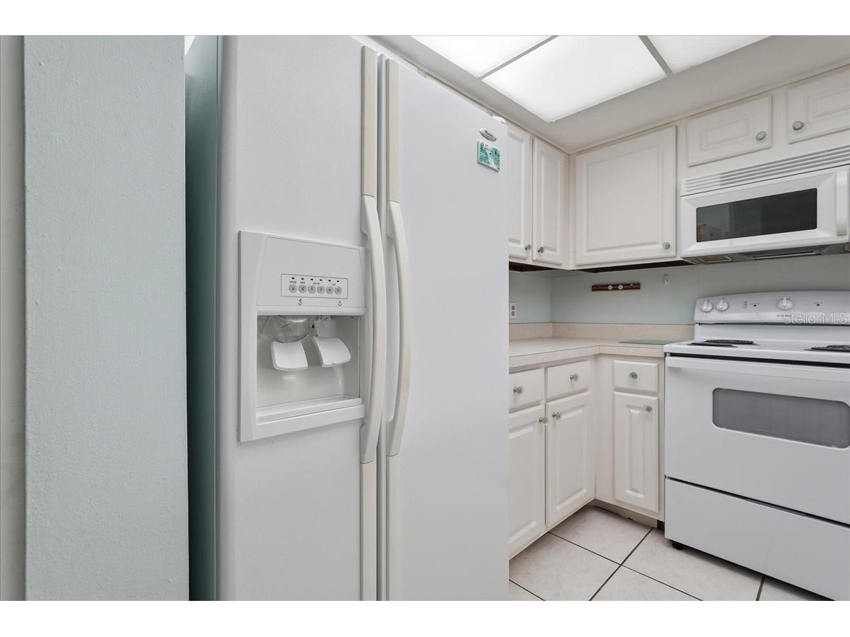 401 Mariner Drive #401 Tarpon Springs FL 34689 TB8509793 image25