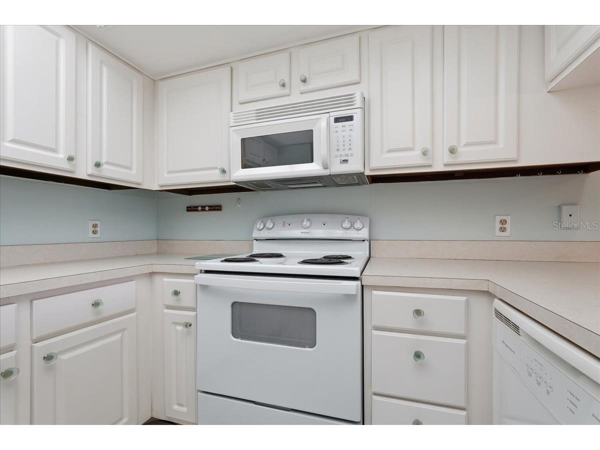 401 Mariner Drive #401 Tarpon Springs FL 34689 TB8509793 image27