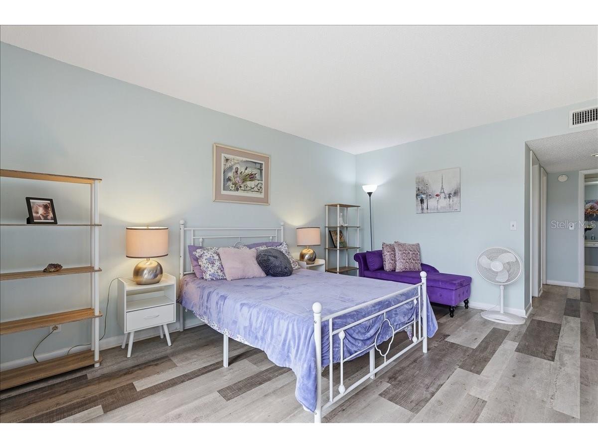 401 Mariner Drive #401 Tarpon Springs FL 34689 TB8509793 image29