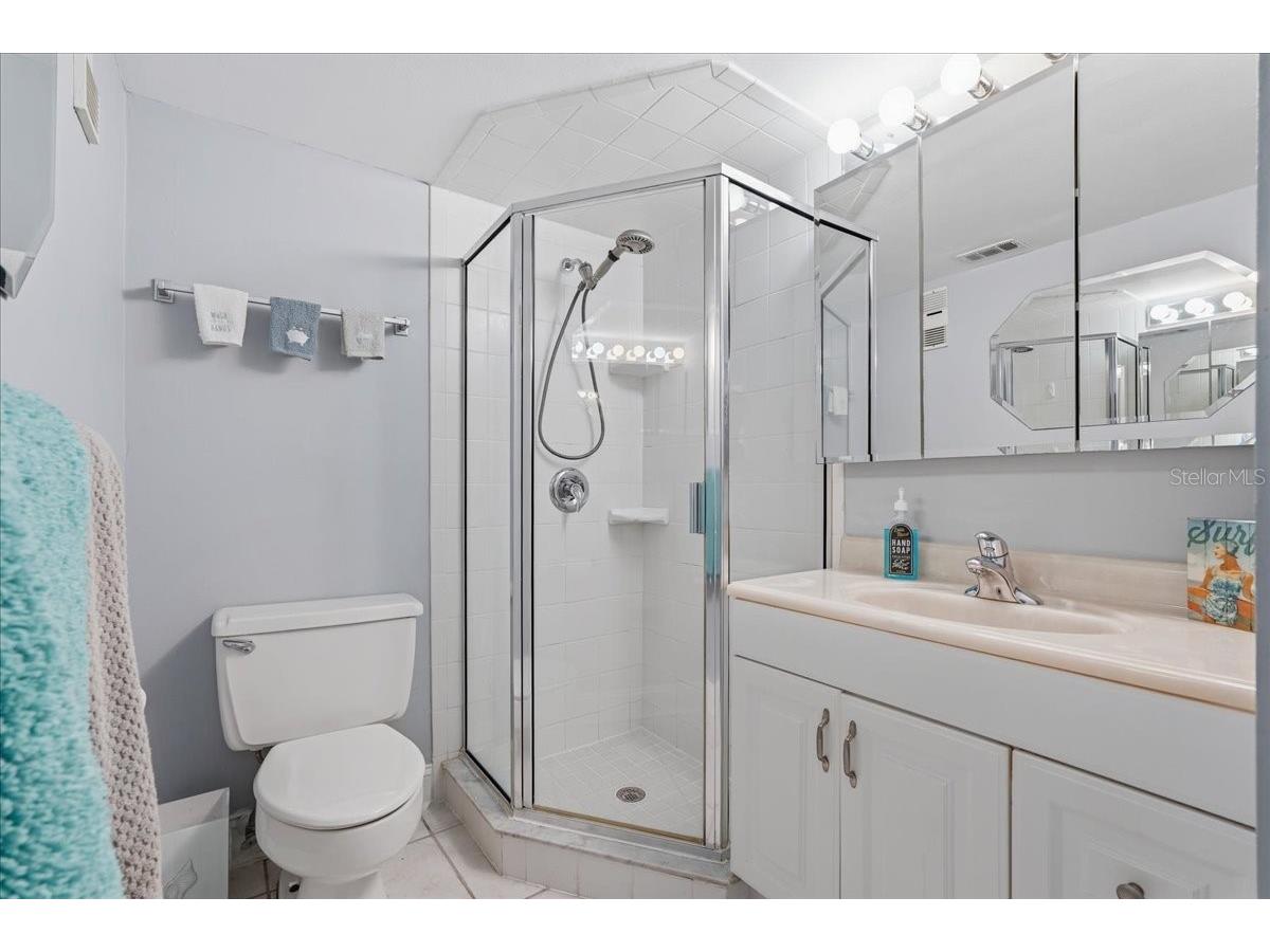 401 Mariner Drive #401 Tarpon Springs FL 34689 TB8509793 image34