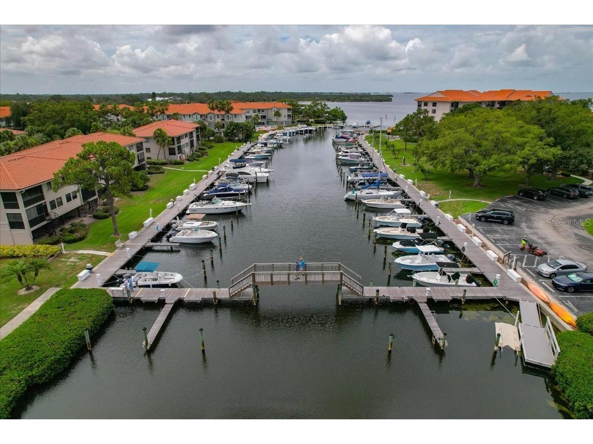 401 Mariner Drive #401 Tarpon Springs FL 34689 TB8509793 image4