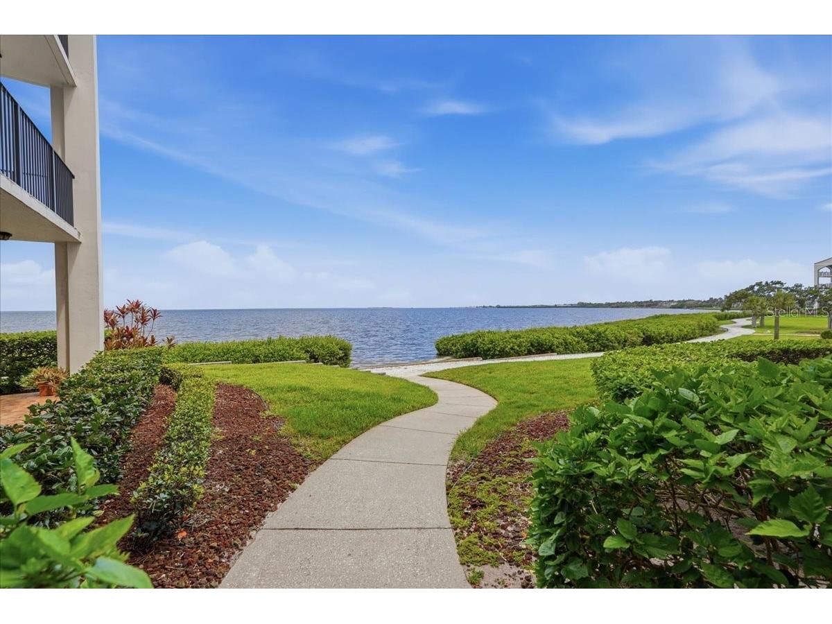 401 Mariner Drive #401 Tarpon Springs FL 34689 TB8509793 image6