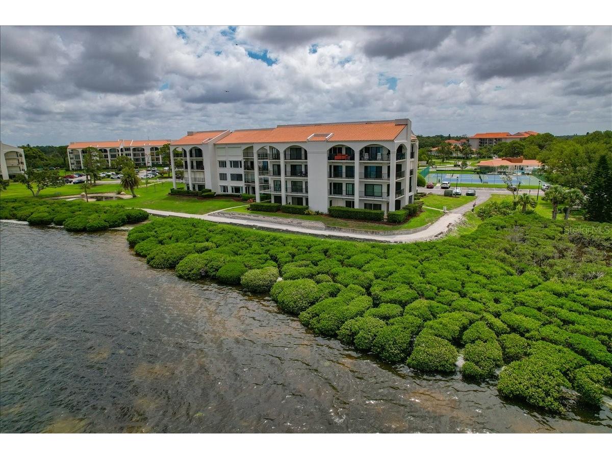 401 Mariner Drive #401 Tarpon Springs FL 34689 TB8509793 image60