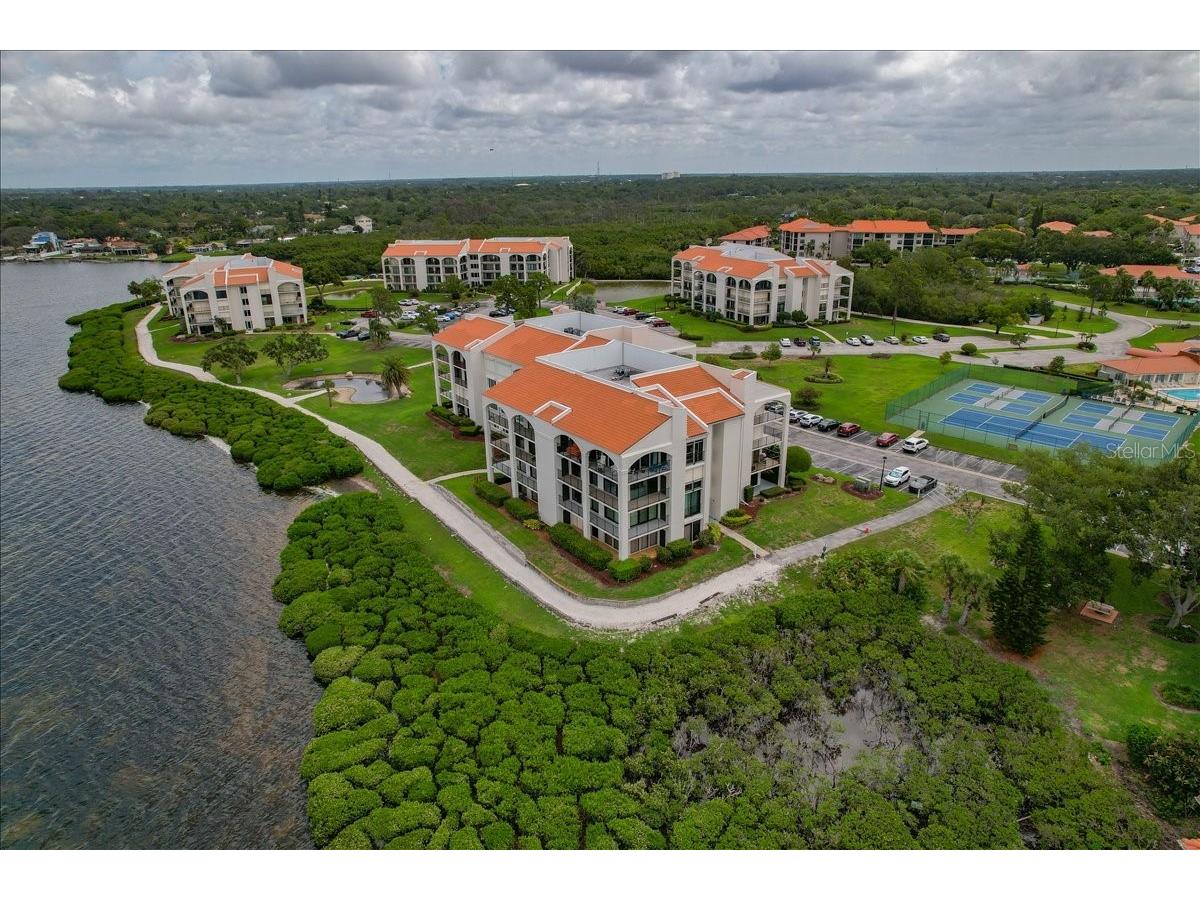 401 Mariner Drive #401 Tarpon Springs FL 34689 TB8509793 image62