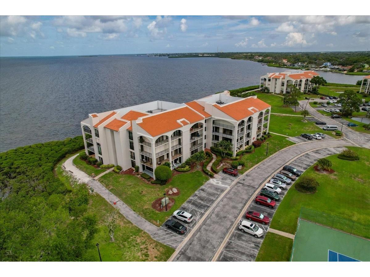 401 Mariner Drive #401 Tarpon Springs FL 34689 TB8509793 image63