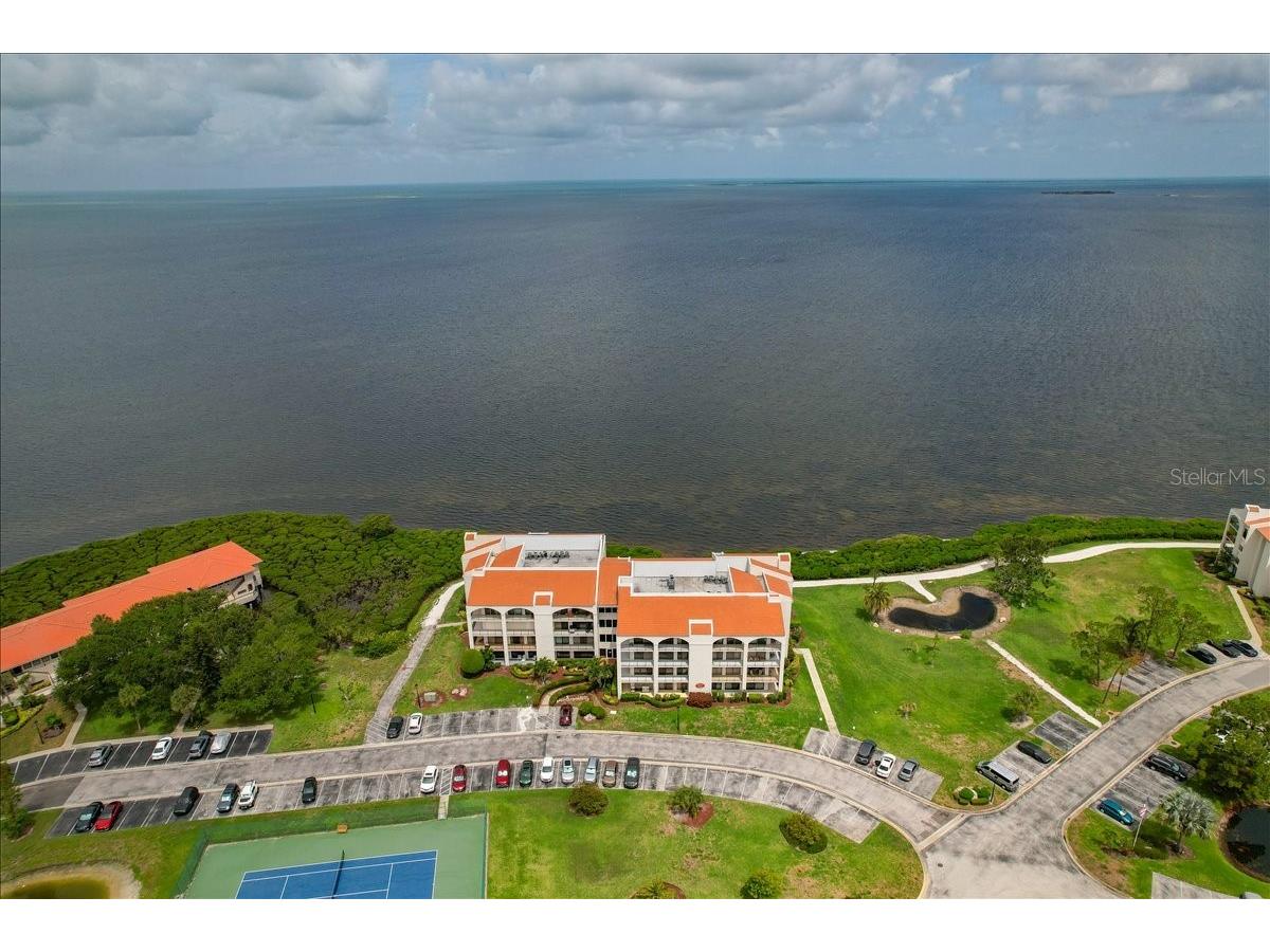 401 Mariner Drive #401 Tarpon Springs FL 34689 TB8509793 image66