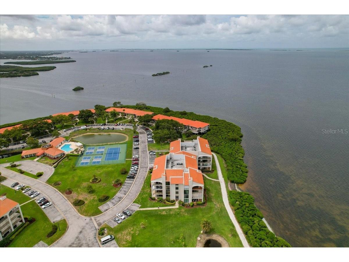 401 Mariner Drive #401 Tarpon Springs FL 34689 TB8509793 image67