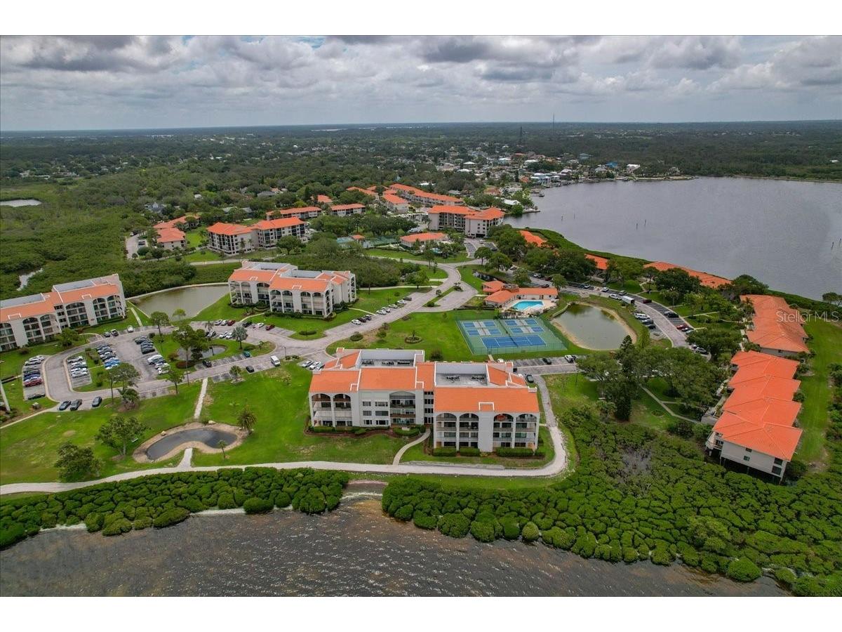 401 Mariner Drive #401 Tarpon Springs FL 34689 TB8509793 image68