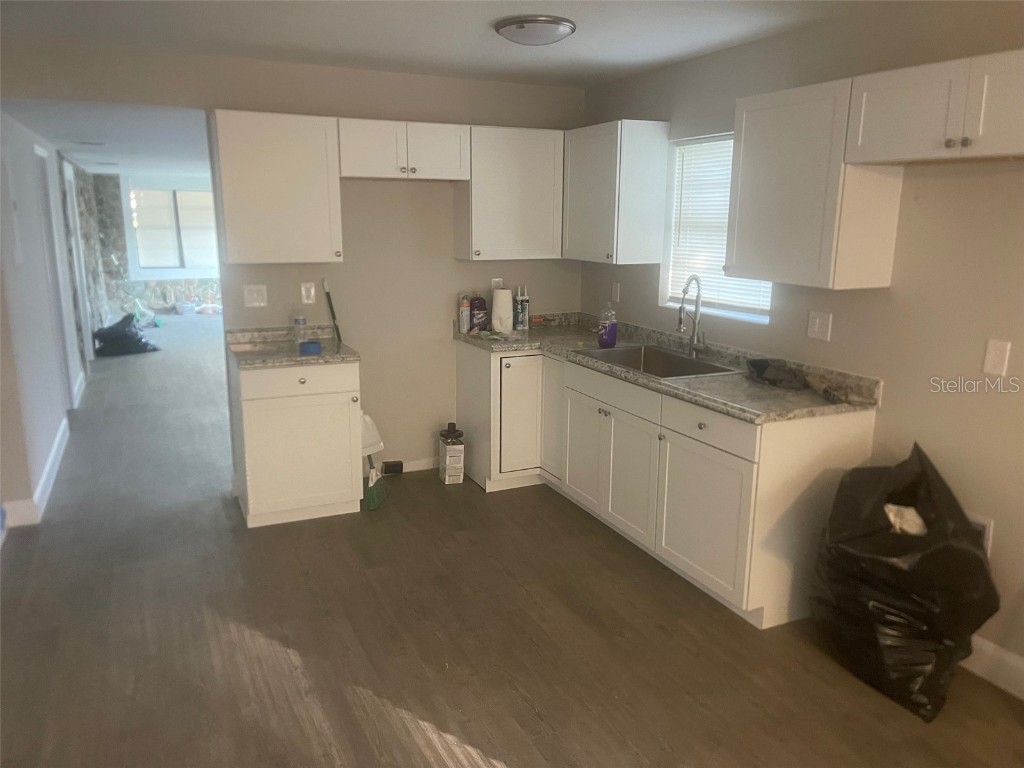 401 Martin Luther King Jr Avenue Wildwood FL 34785 O6253170 image2