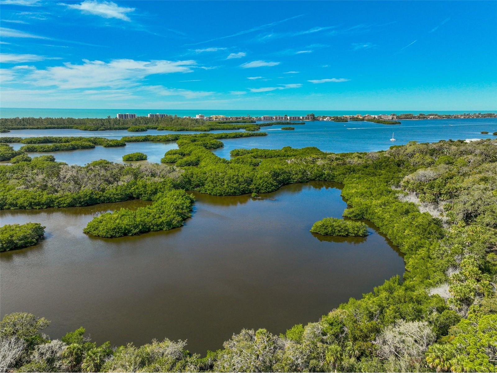 401 N Point Road #1001 Osprey FL 34229 A4679998 image35
