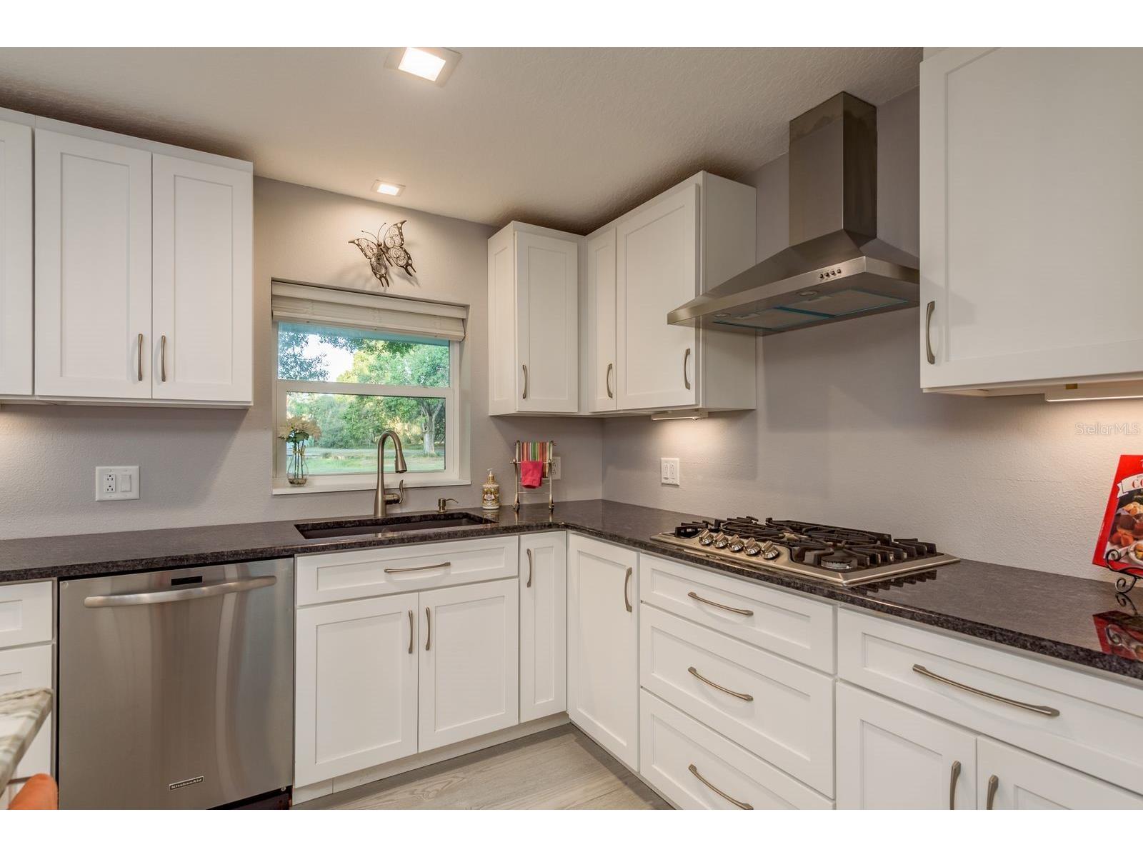 401 Old East Lake Road Tarpon Springs FL 34688 TB8443709 image12