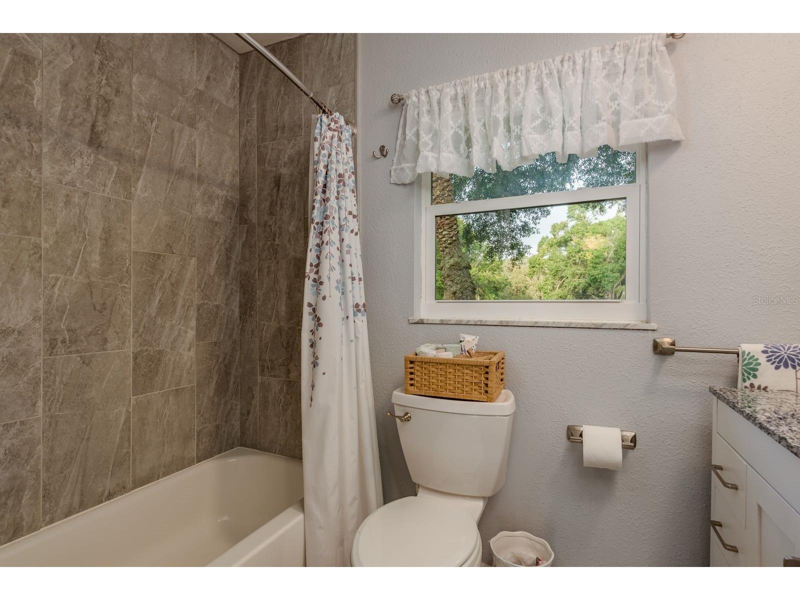 401 Old East Lake Road Tarpon Springs FL 34688 TB8443709 image34