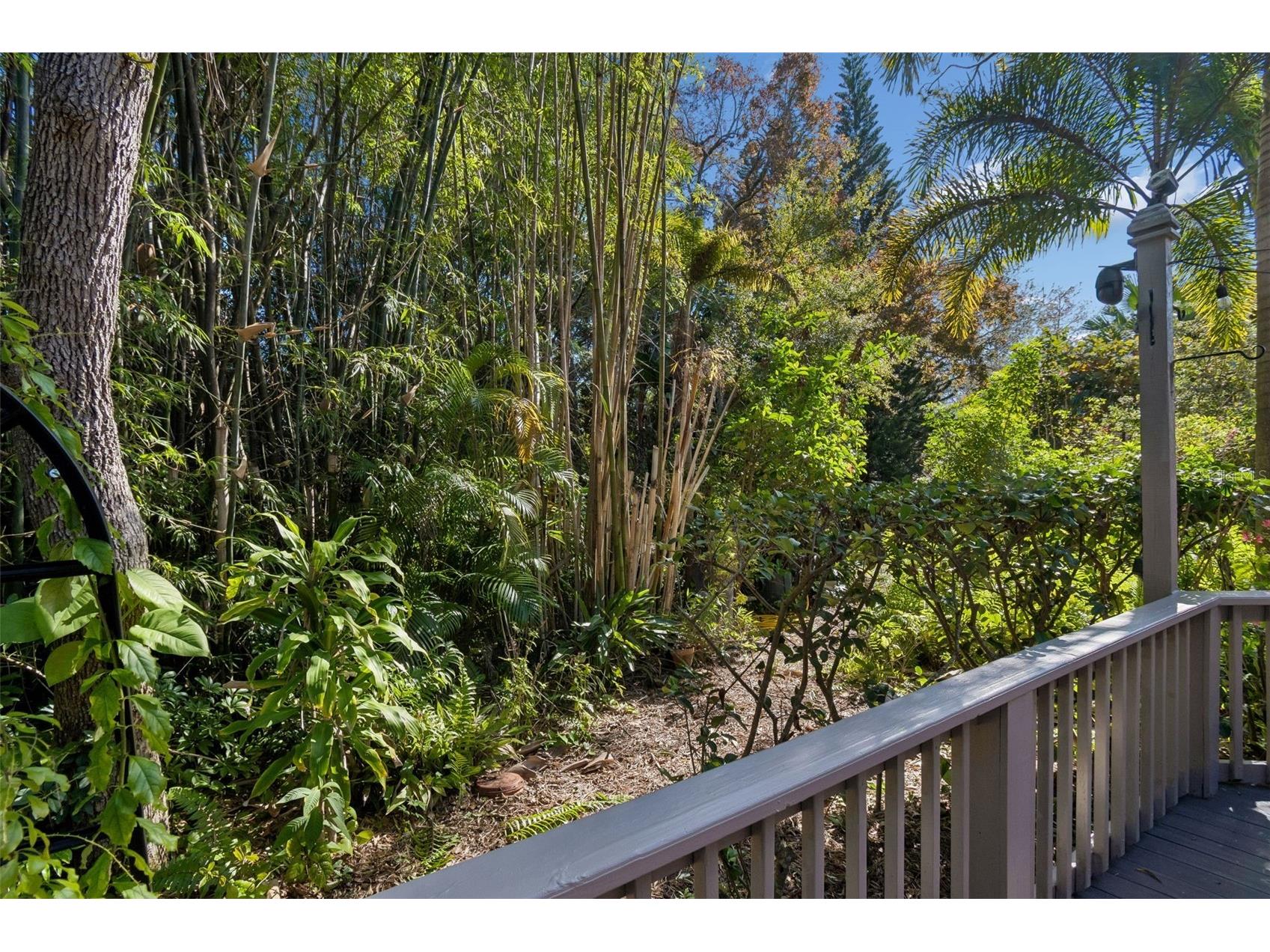 401 Old Mill Pond Road Palm Harbor FL 34683 TB8463774 image15