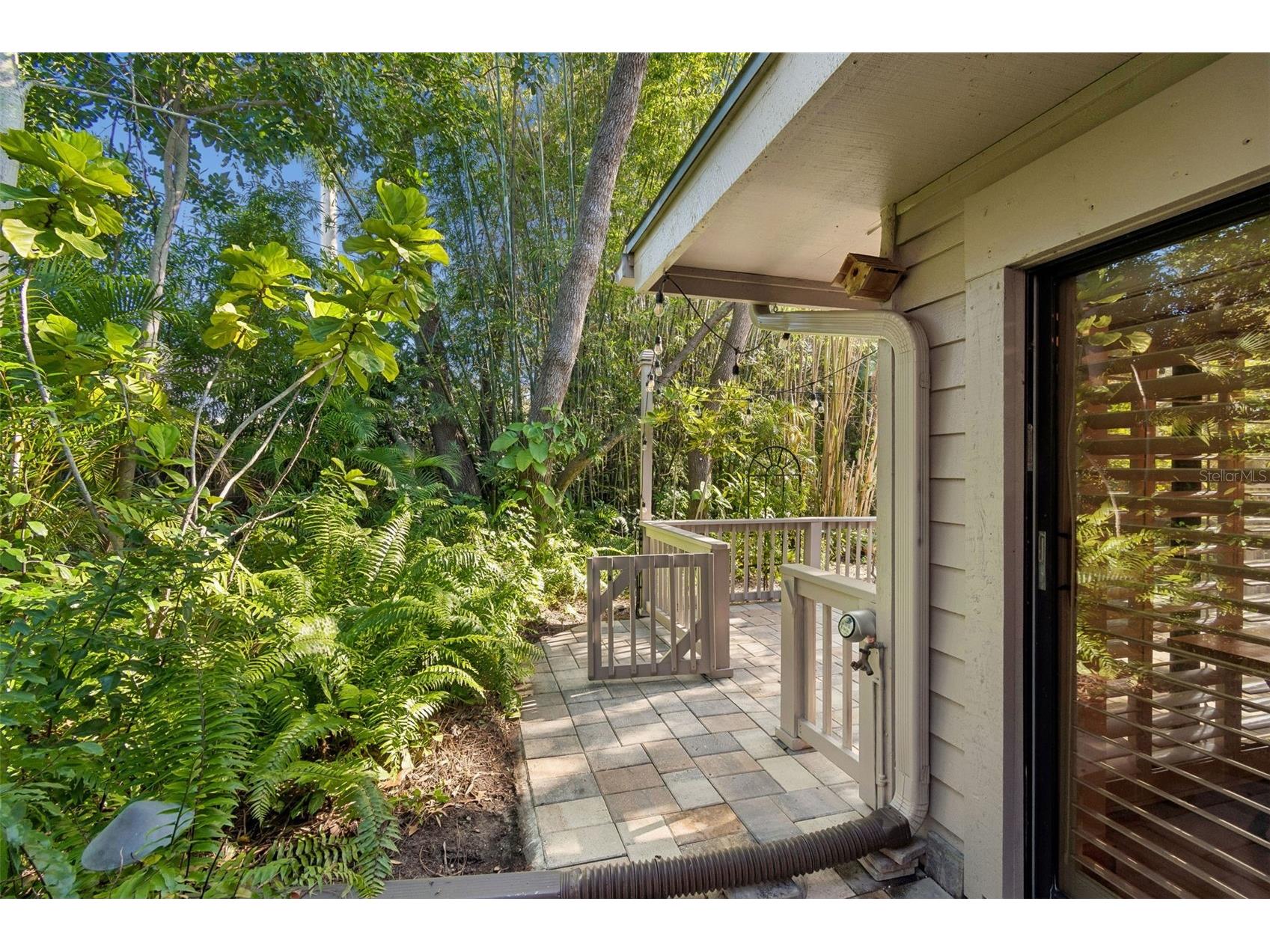 401 Old Mill Pond Road Palm Harbor FL 34683 TB8463774 image26