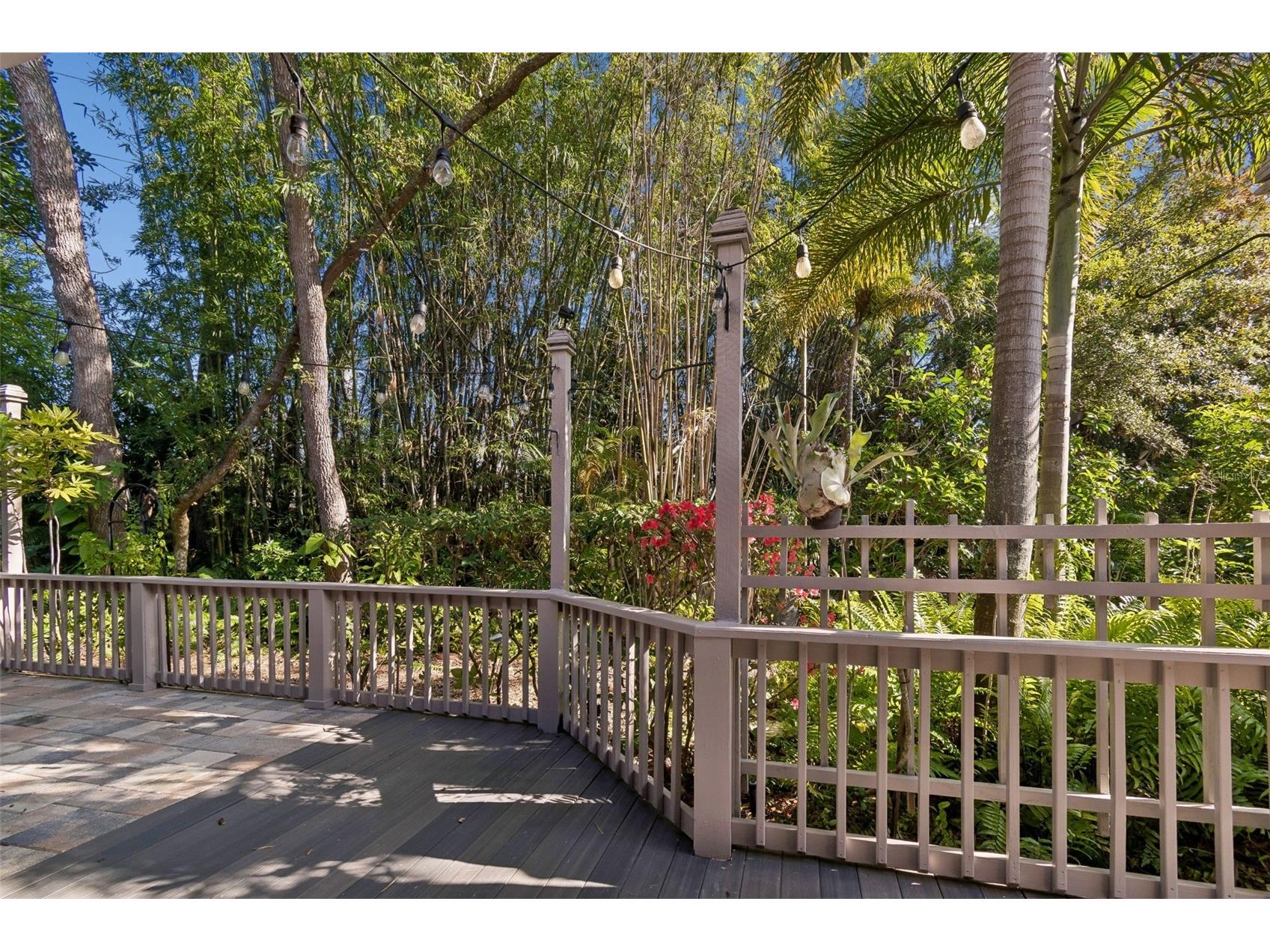401 Old Mill Pond Road Palm Harbor FL 34683 TB8463774 image35