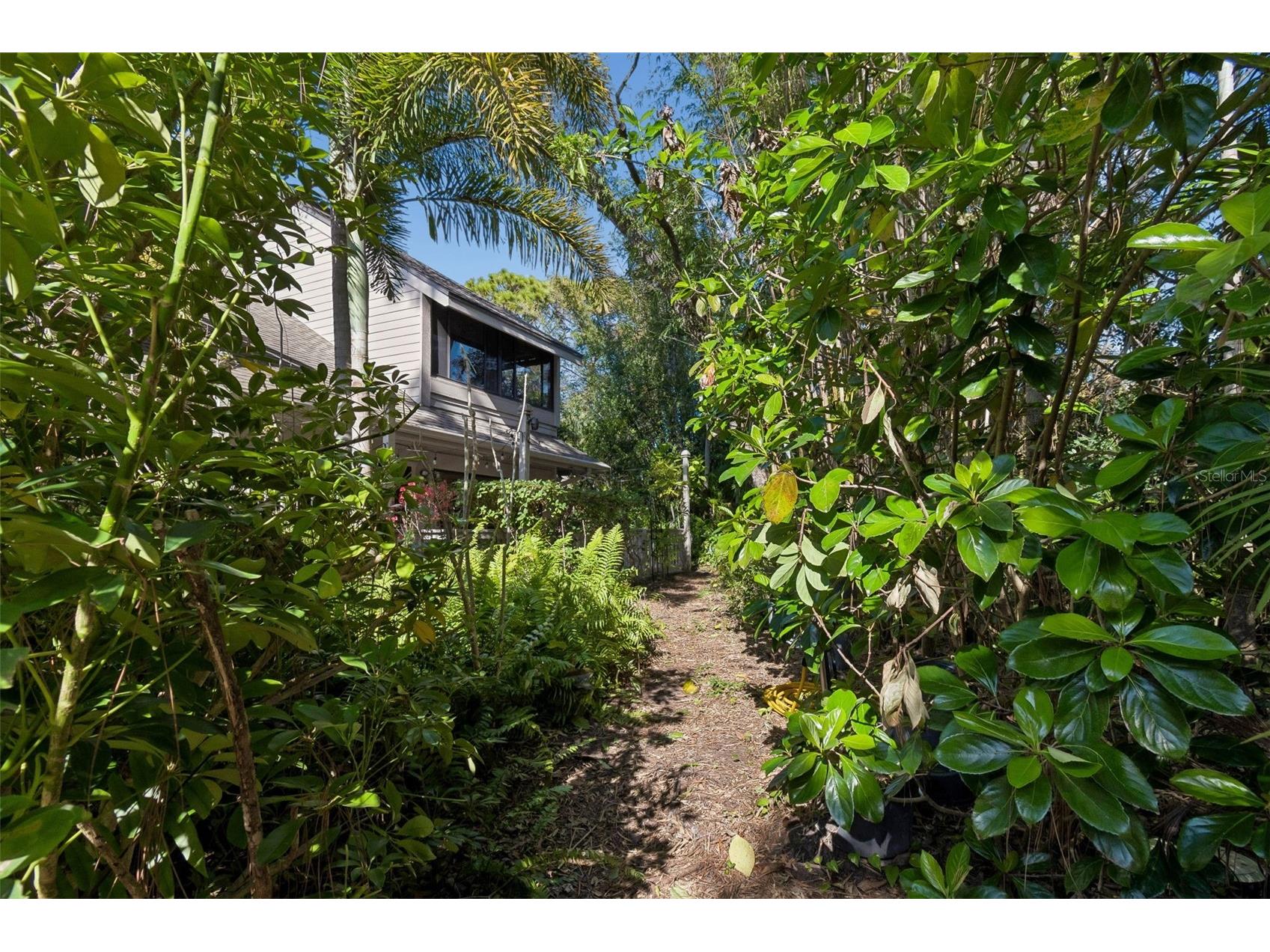 401 Old Mill Pond Road Palm Harbor FL 34683 TB8463774 image36