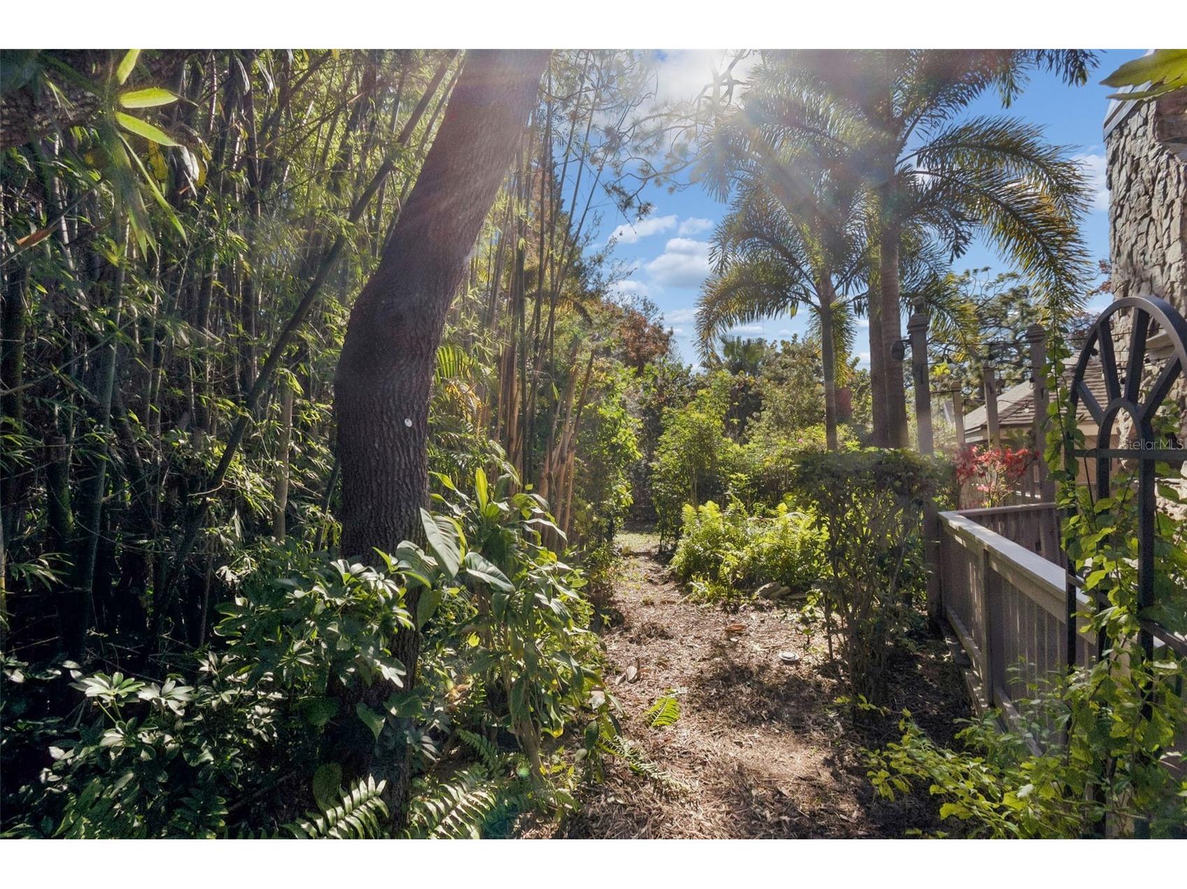 401 Old Mill Pond Road Palm Harbor FL 34683 TB8463774 image63