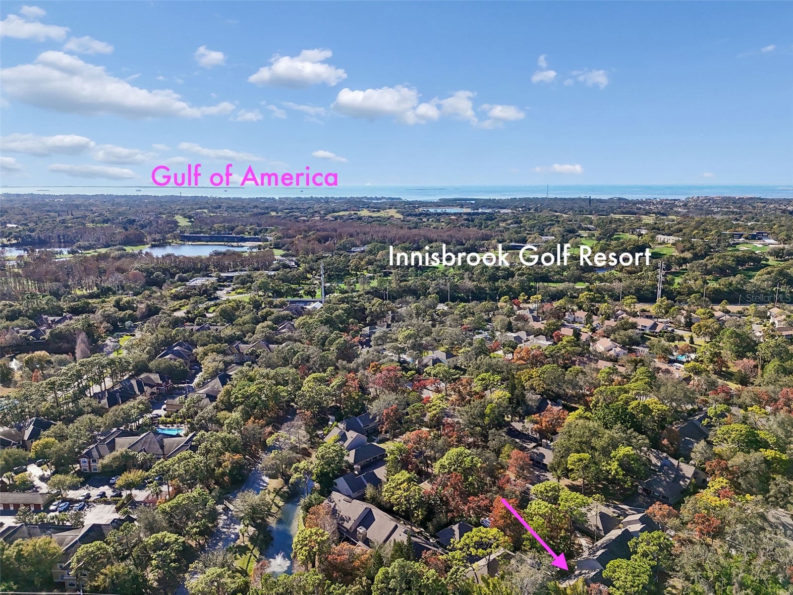 401 Old Mill Pond Road Palm Harbor FL 34683 TB8463774 image67
