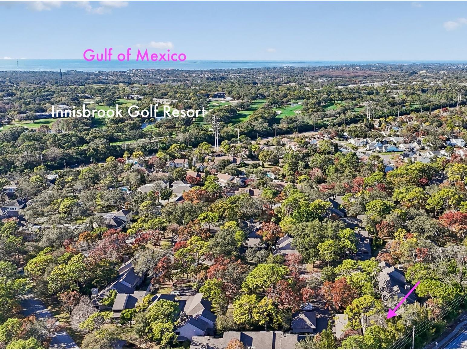 401 Old Mill Pond Road Palm Harbor FL 34683 TB8463774 image68