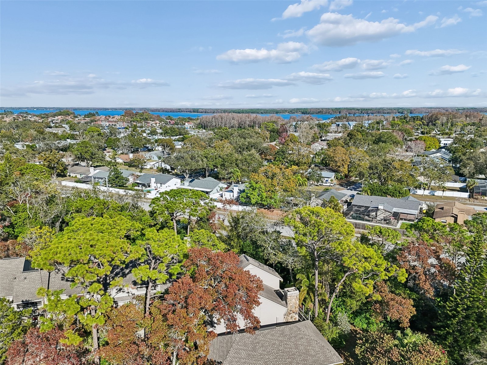 401 Old Mill Pond Road Palm Harbor FL 34683 TB8463774 image69