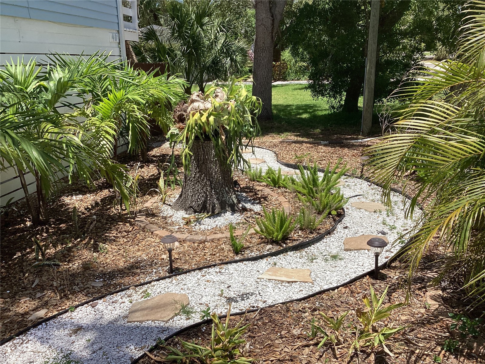 401 Pennsylvania Avenue Crystal Beach FL 34681 TB8474392 image40