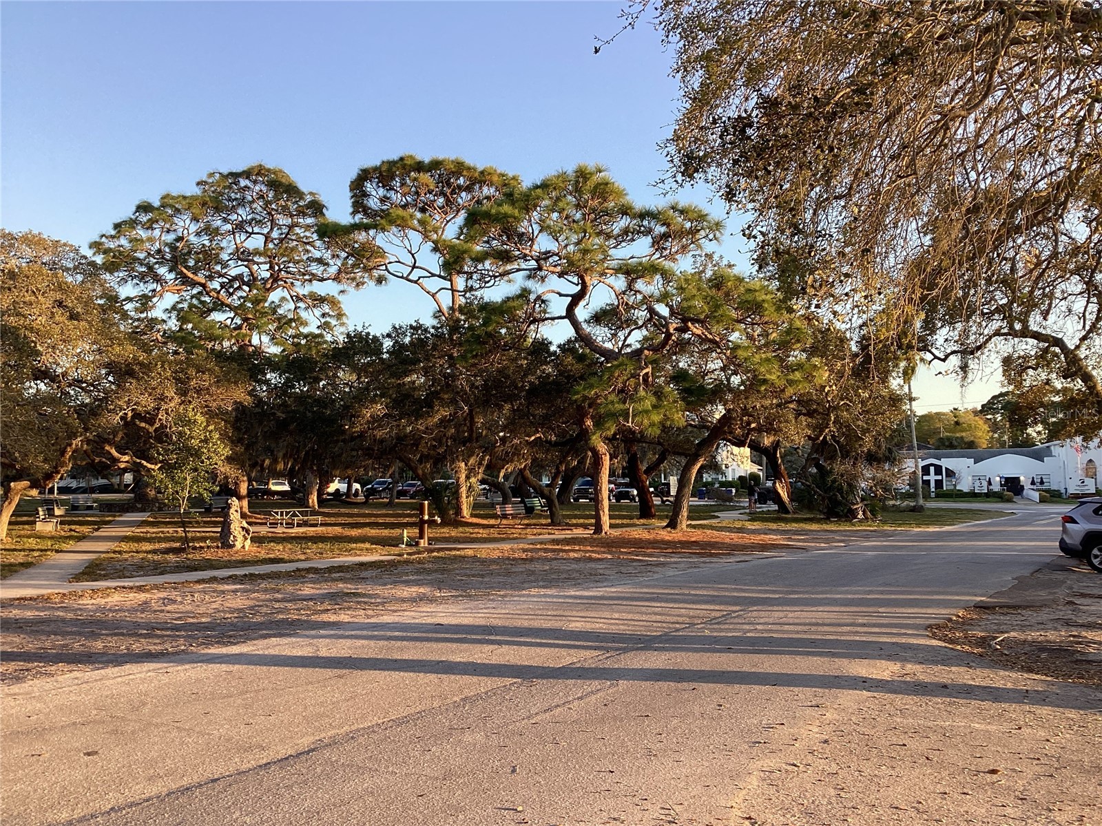 401 Pennsylvania Avenue Crystal Beach FL 34681 TB8474392 image48