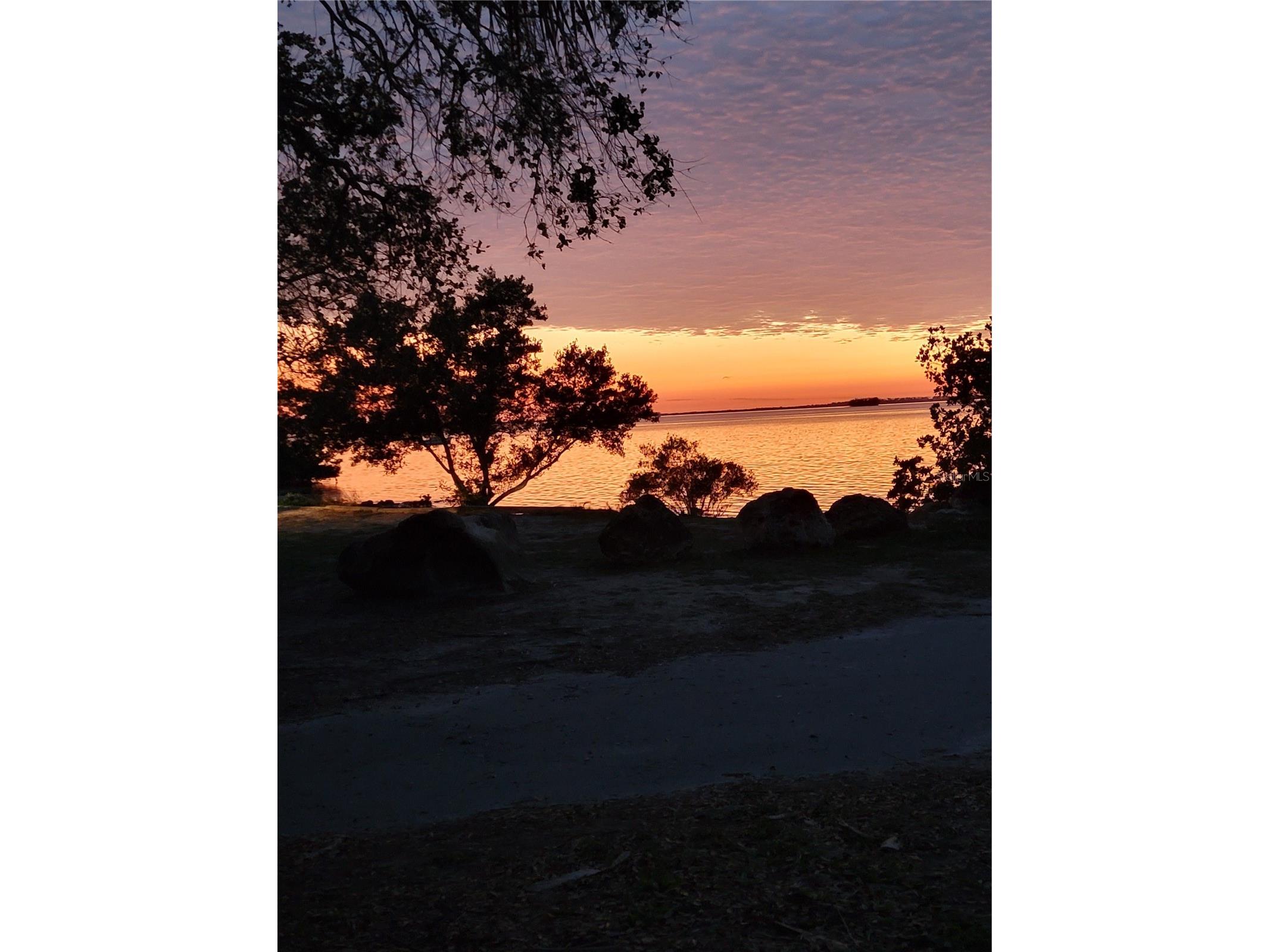 401 Pennsylvania Avenue Crystal Beach FL 34681 TB8474392 image50