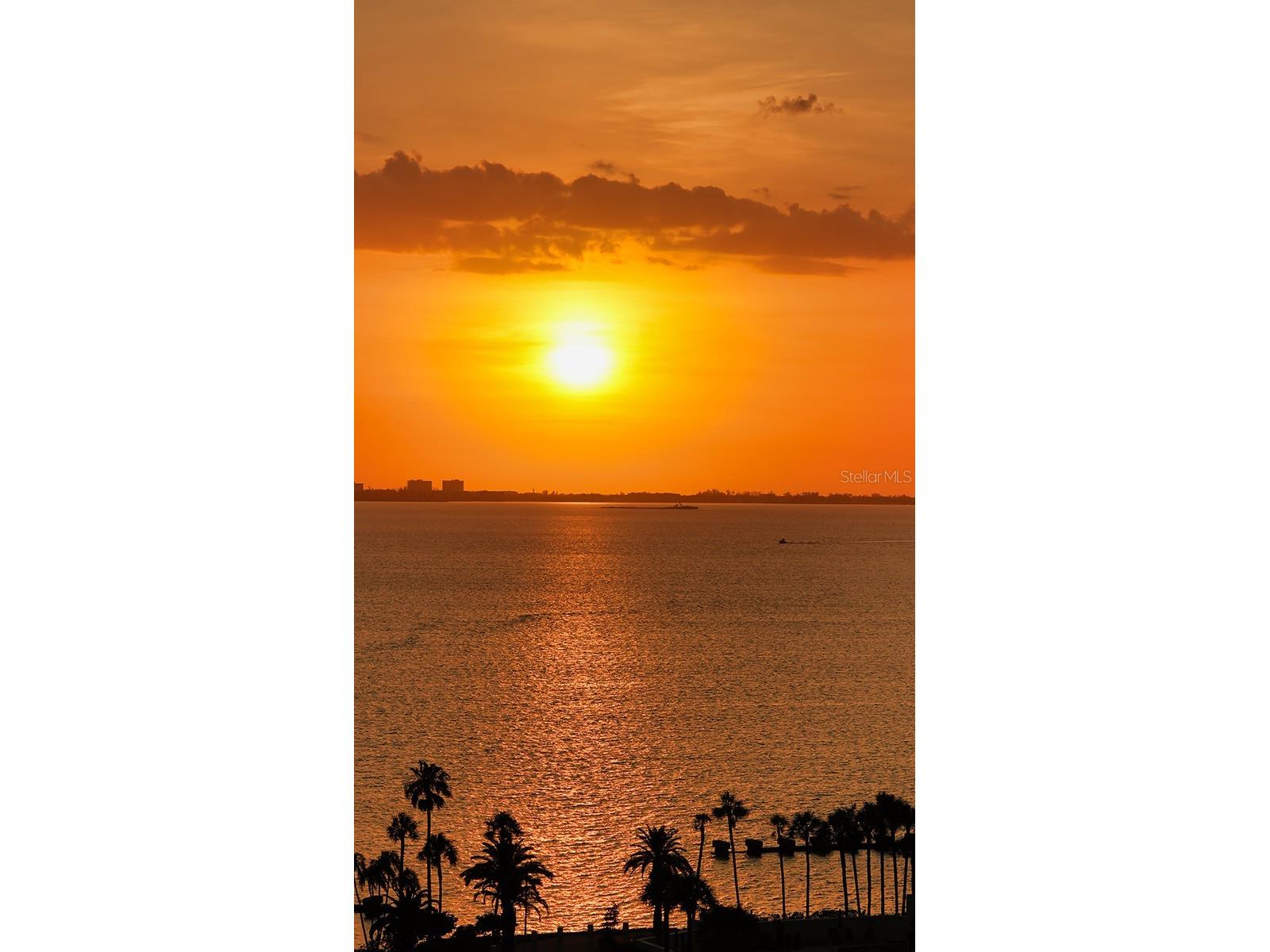 401 Quay #1004 Sarasota FL 34236 - SARASOTA BAY / GULF A4696417 image53