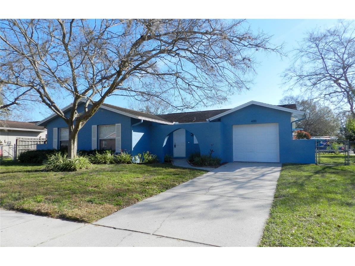 401 Silver Hill Drive Valrico FL 33594 T3427382 image1