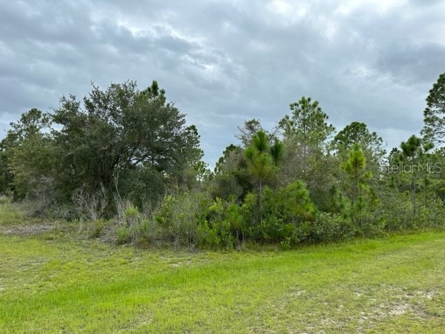 401 Tropicana Drive Indian Lake Estates FL 33855 P4927574 image1