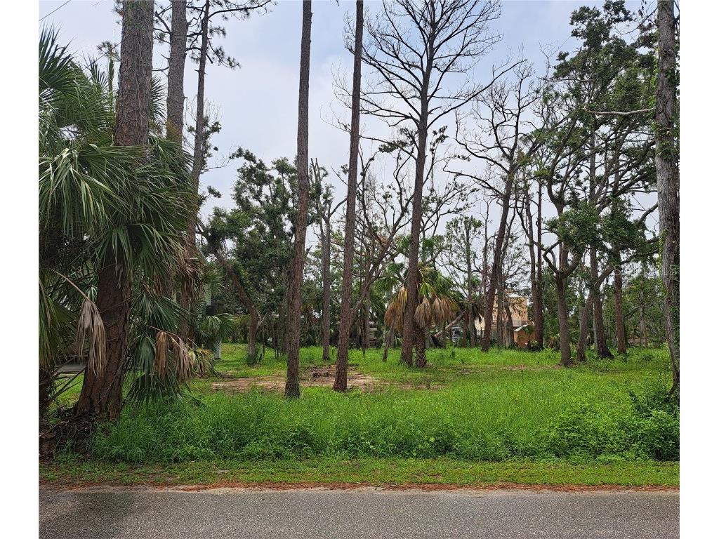 401 W 1st Street NW #LOT 4 Steinhatchee FL 32359 GC532997 image1