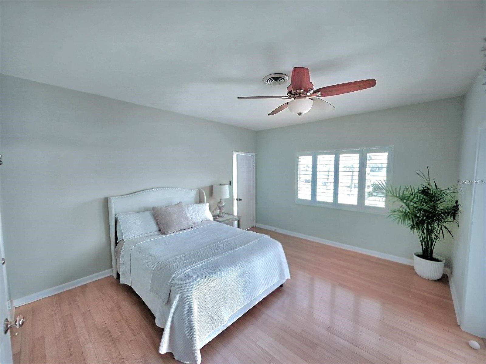 401 Whitcomb Boulevard Tarpon Springs FL 34689 TB8459309 image35