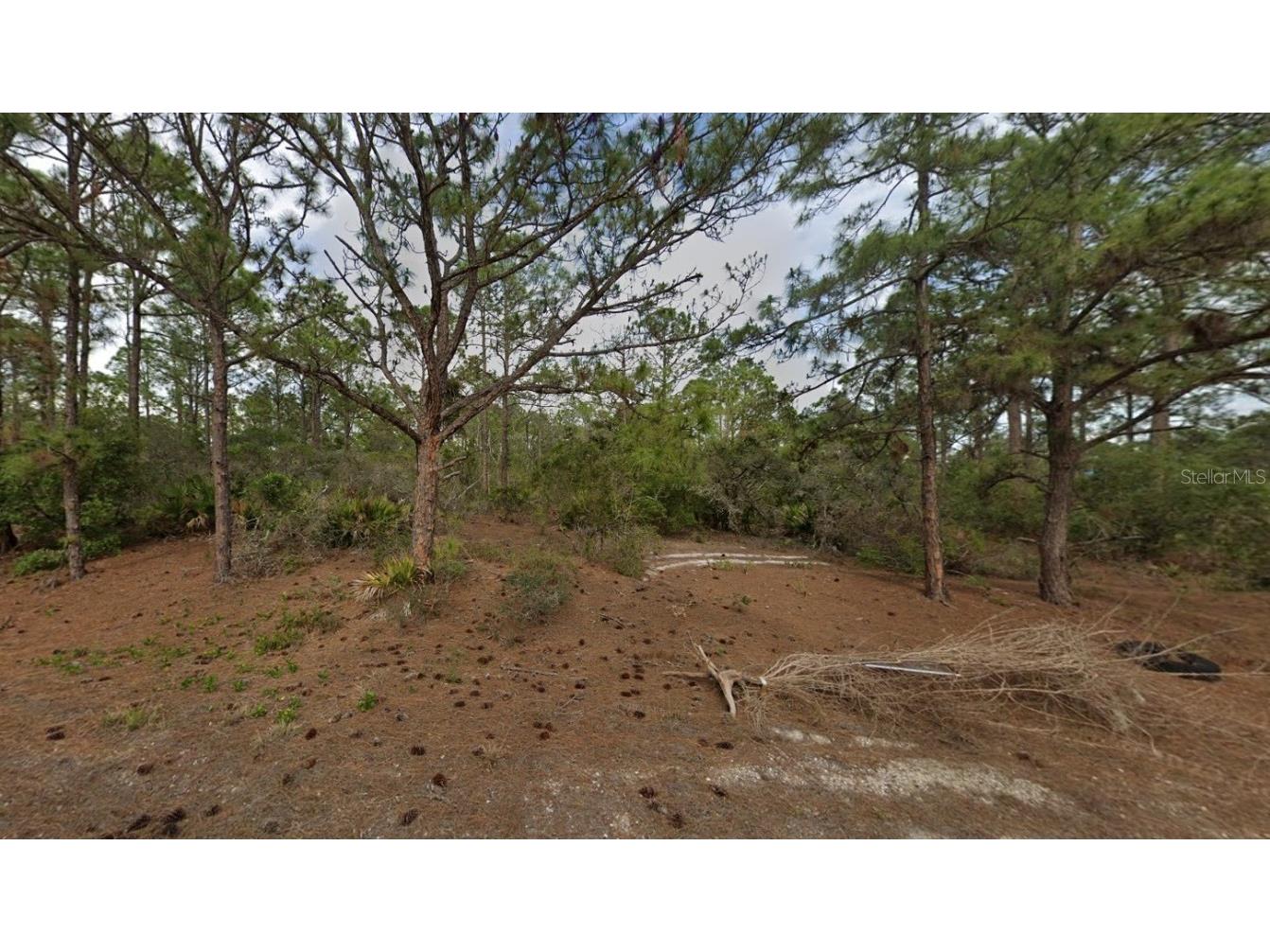 401 Wind Rose Avenue Lake Placid FL 33852 O6302091 image8