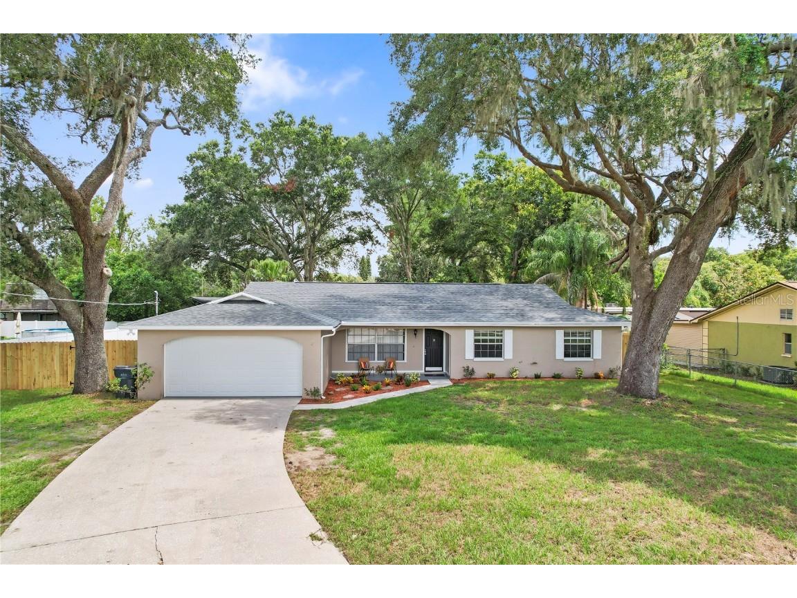 4010 Durant Road Valrico FL 33596 T3459803 image1