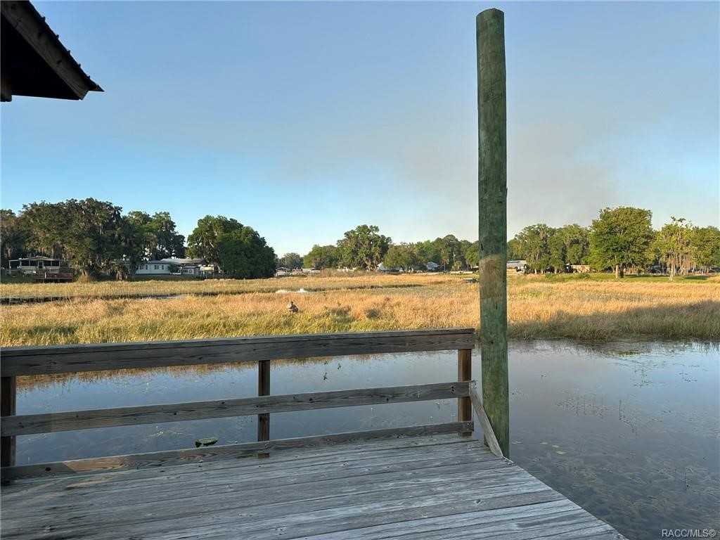 4010 E Dandy Loop Hernando FL 34442 TB8454102 image27