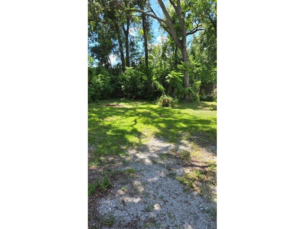 4010 N Central Avenue Tampa FL 33603 TB8422569 image4