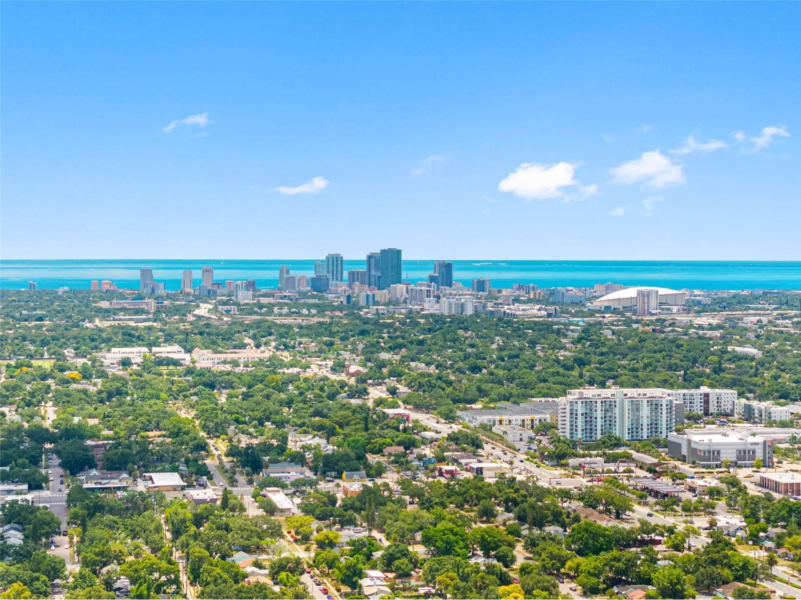 4011 7th Avenue N Saint Petersburg FL 33713 TB8524838 image35