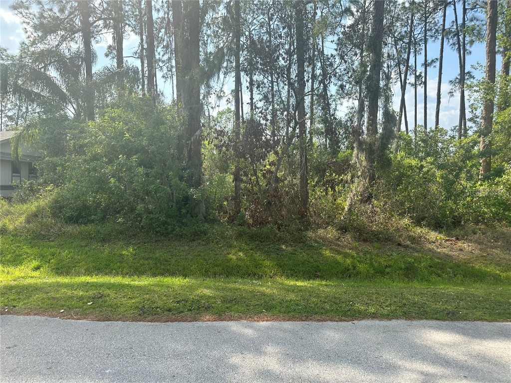 4011 Barbarossa Avenue Sebring FL 33872 T3432764 image1