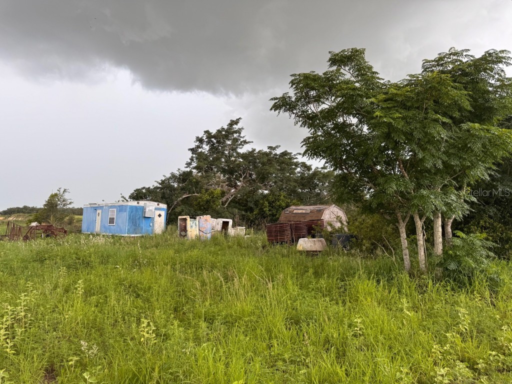 4011 E Robinson Drive Haines City FL 33844 L4953686 image4