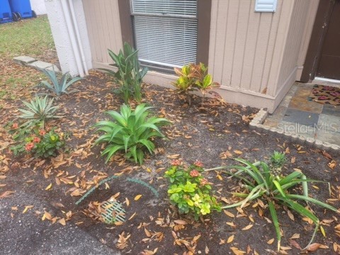 4011 Muriel Place #1C Tampa FL 33614 TB8482127 image16