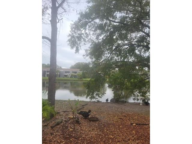4011 Muriel Place #1C Tampa FL 33614 TB8482127 image5