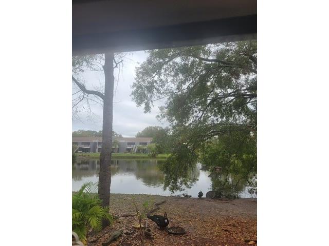 4011 Muriel Place #1C Tampa FL 33614 TB8482127 image6