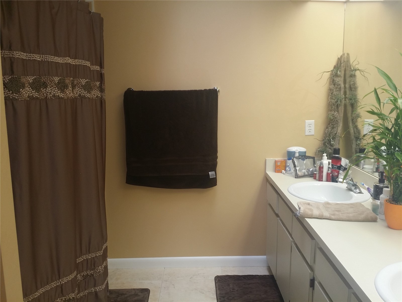 4012 Circlewood Court Tampa FL 33614 TB8451775 image8