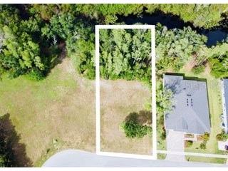 4012 Cove Lake Pl Land O Lakes FL 34639 - LAKE PADGETT T3434011 image1