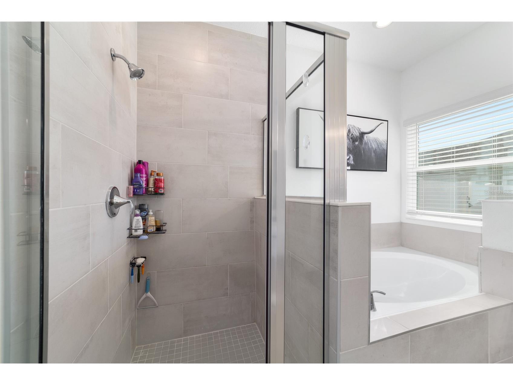 4012 NE 33rd Avenue Ocala FL 34479 OM719573 image36