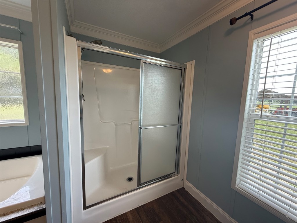 4012 SE 150th Street Summerfield FL 34491 OM702993 image39