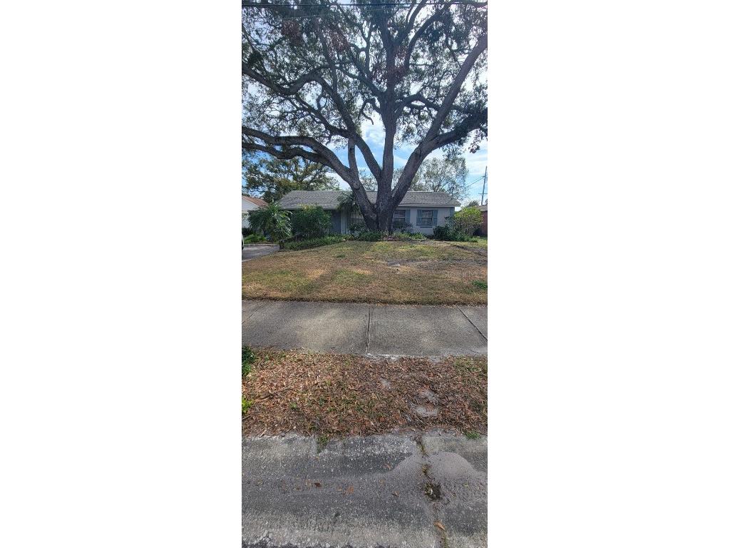 4012 W Pearl Avenue Tampa FL 33611 TB8354182 image1