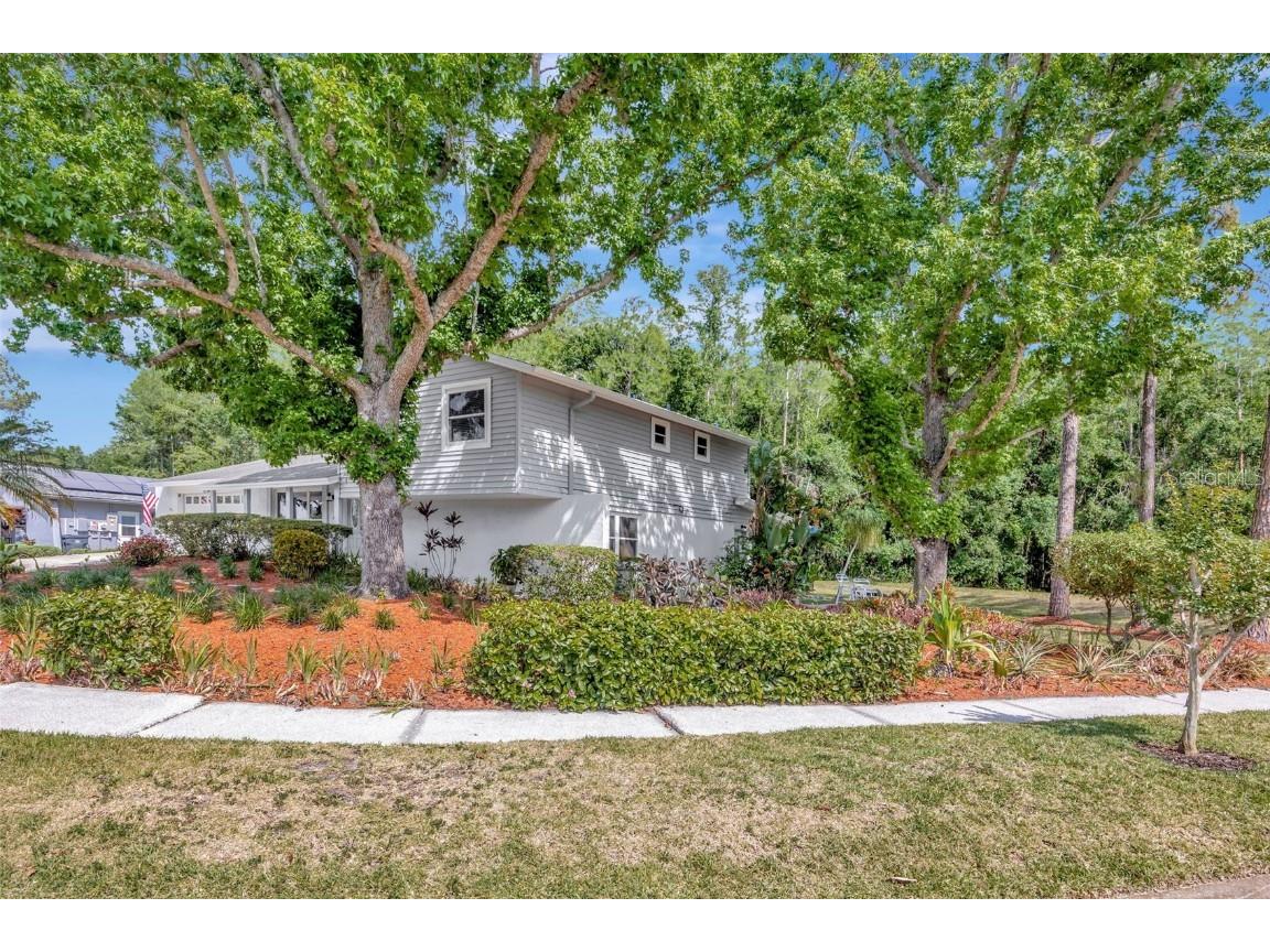 4012 Woodacre Lane Tampa FL 33624 TB8381703 image2