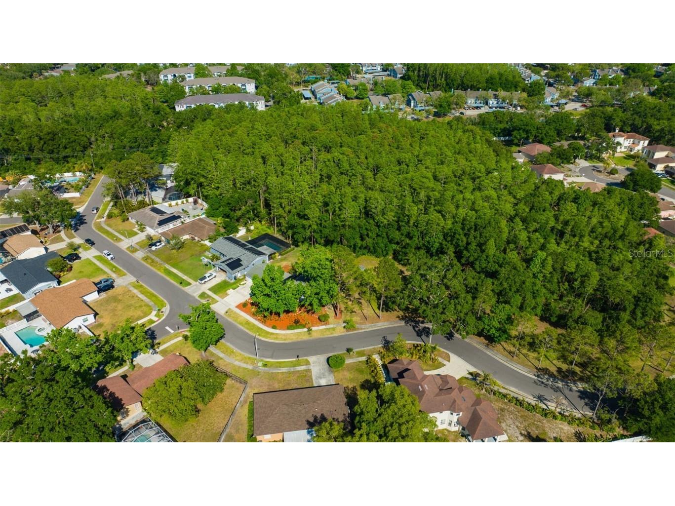 4012 Woodacre Lane Tampa FL 33624 TB8381703 image41