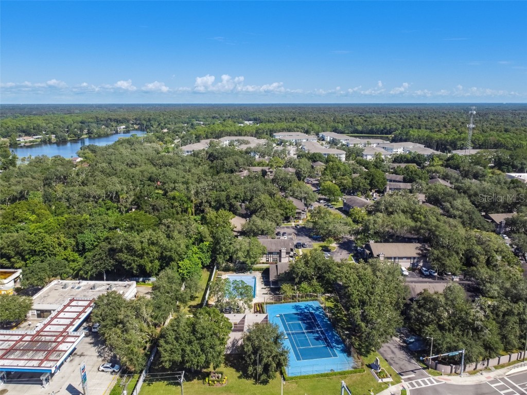 4013 Dream Oak Place #202 Tampa FL 33613 TB8433001 image38